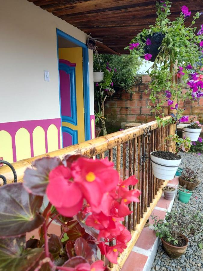 Hostal Casa Madrigal Hotel Filandia Eksteriør billede